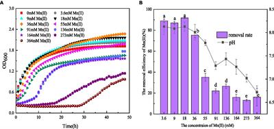Efficient Mn(II) removal mechanism by Serratia marcescens QZB-1 at high manganese concentration
